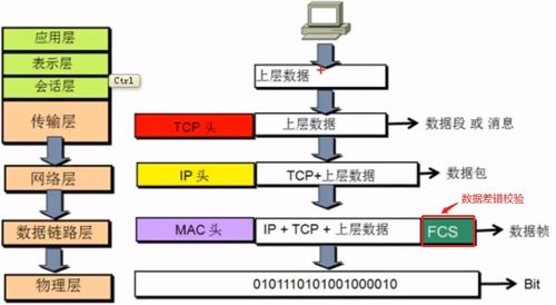 OSI与TCP/IP模型详解 计算机网络技术的核心架构